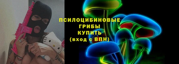 jwh Пересвет