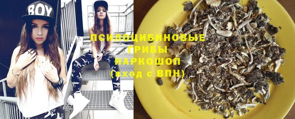 трава Бронницы