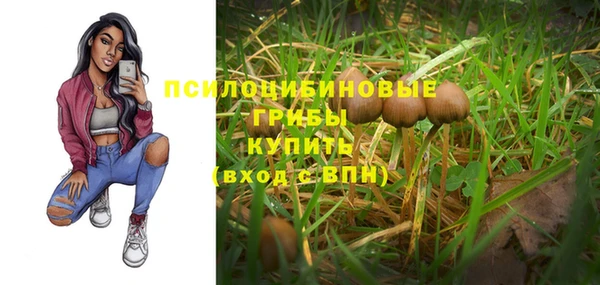 крисы Переславль-Залесский