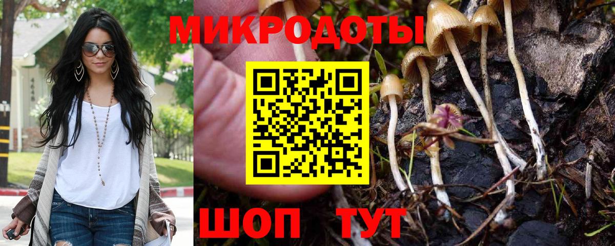 Галлюциногенные грибы прущие грибы Карпинск