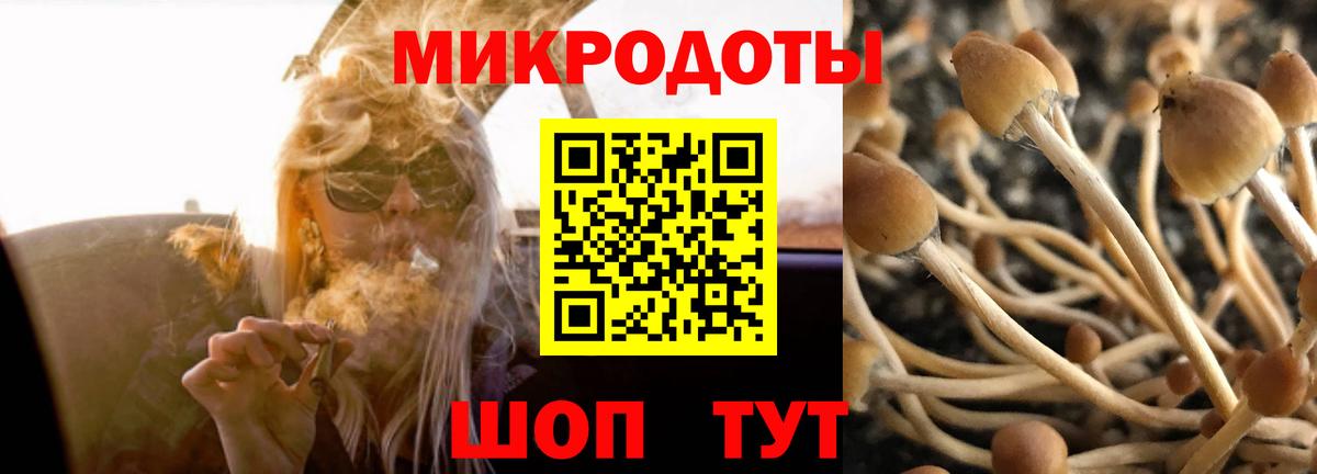 Карпинск  Галлюциногенные грибы Cubensis  закладки  Вход с VPN  Псилоцибиновые грибы ЛСД 